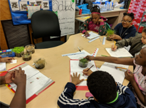 STEM Program Summary